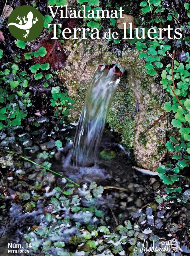 Revista municipal Terra de Lluerts núm. 14